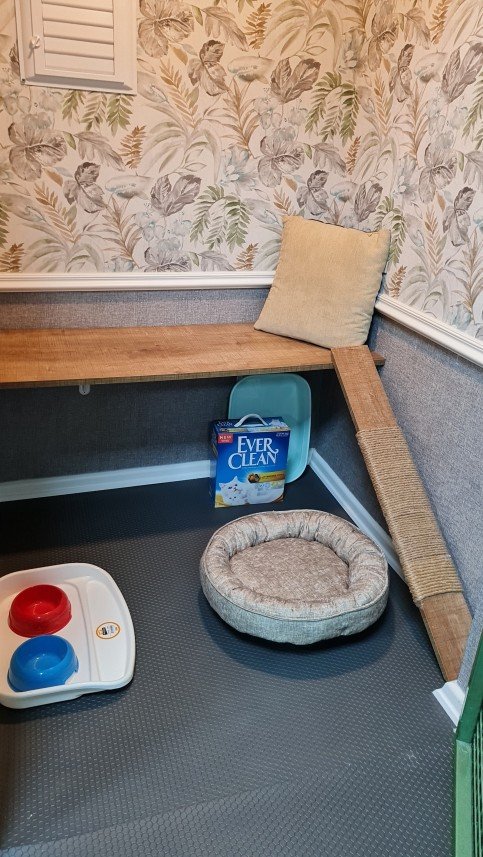 Hepsipatime Cats Hotel