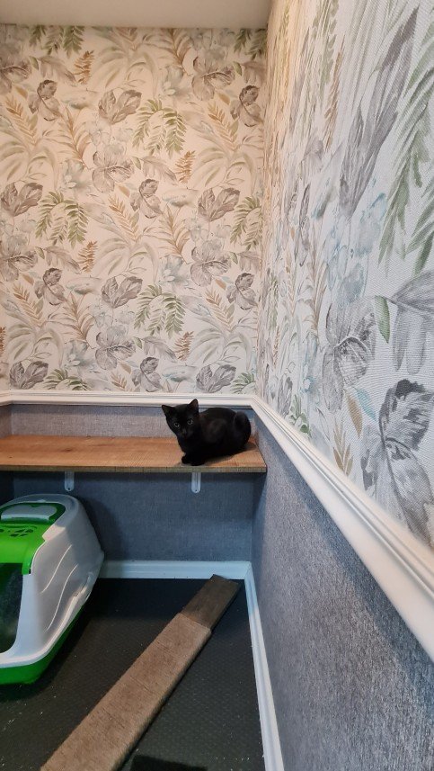 Hepsipatime Cats Hotel