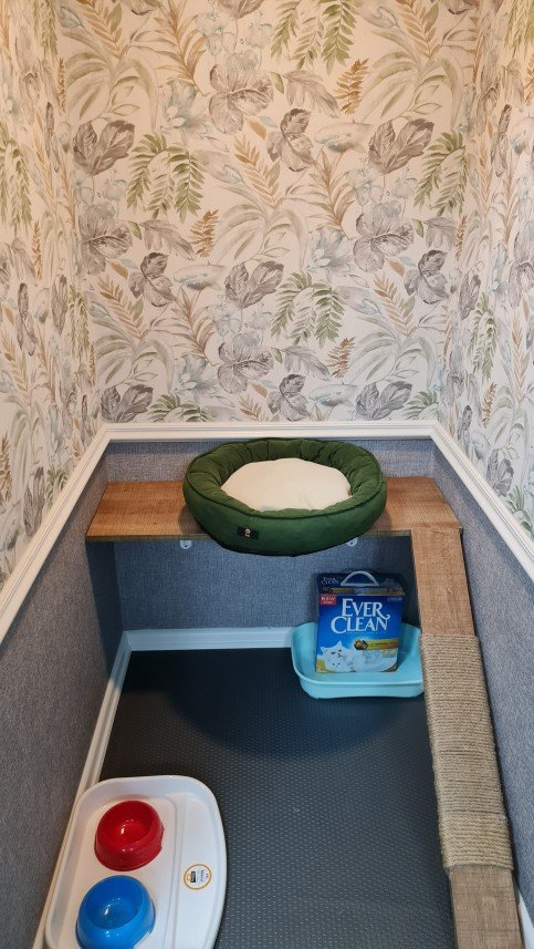 Hepsipatime Cats Hotel