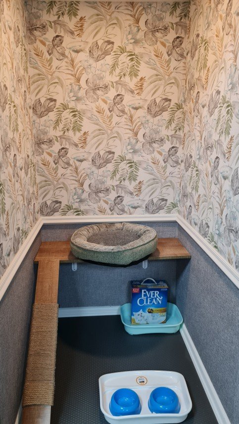 Hepsipatime Cats Hotel