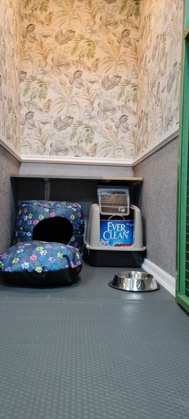 Hepsipatime Cats Hotel