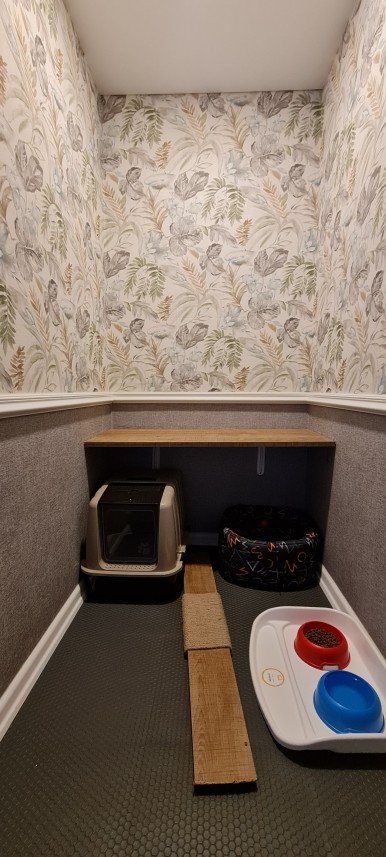 Hepsipatime Cats Hotel