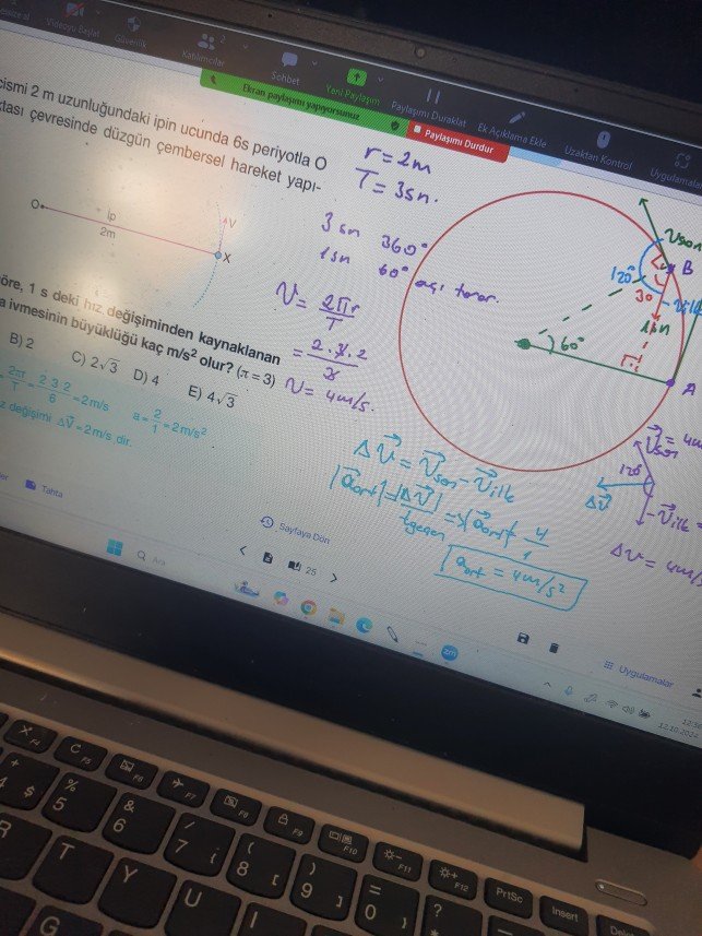 İlke Yiğit Alptekin