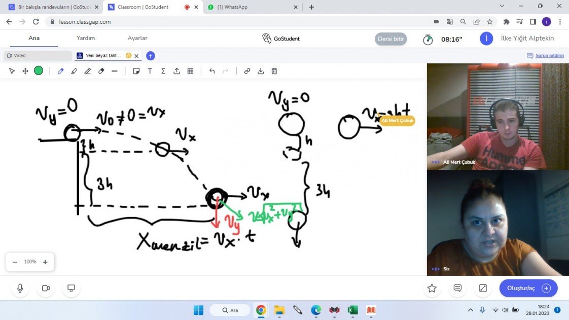 İlke Yiğit Alptekin