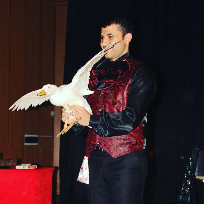 İllüzyonist Domino Adam 