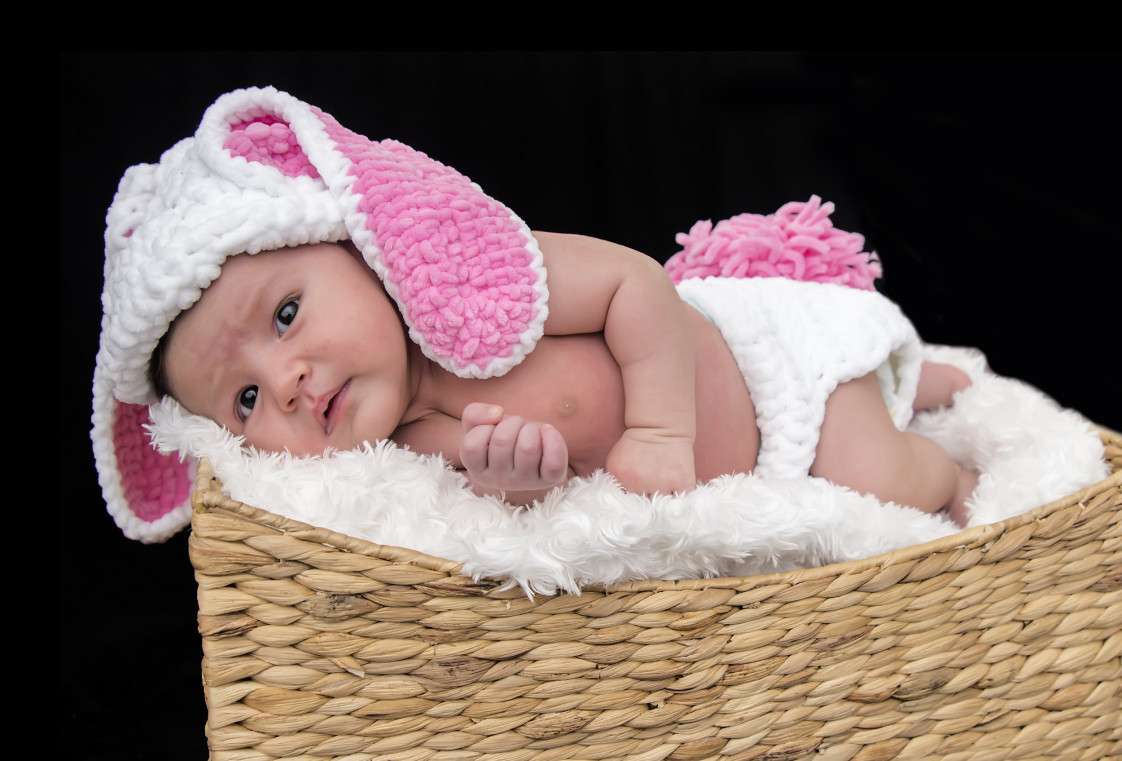 İpek Tok Fotoğrafçılık