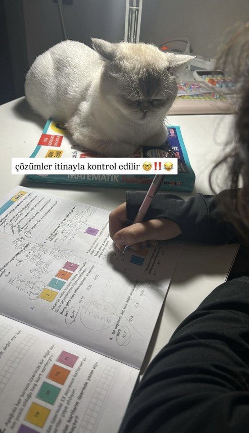 İrem Erdem