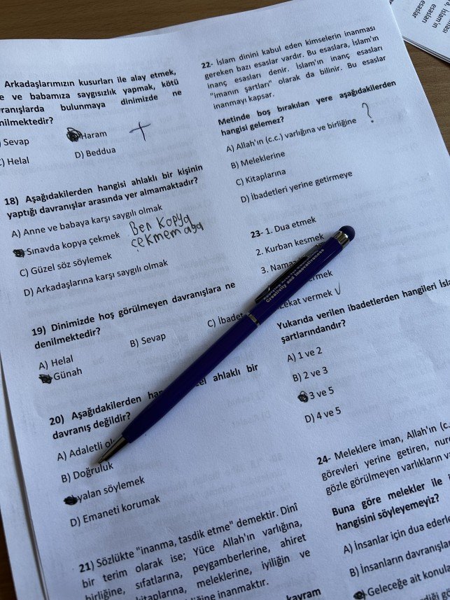 İrem Karenoğulları