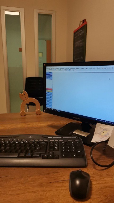 İrem Koçyiğit Bildik