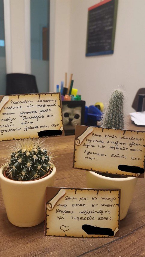 İrem Koçyiğit Bildik