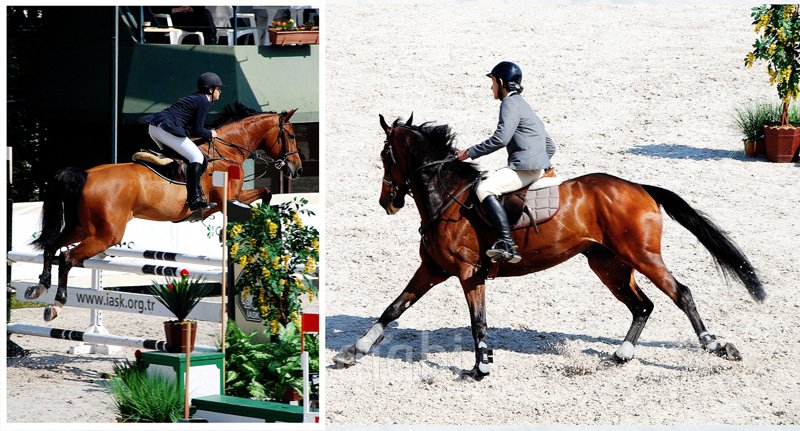 Işık Fotoğrafçılık