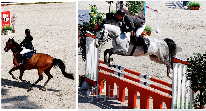 Işık Fotoğrafçılık