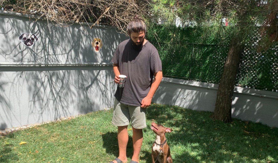 Murphy Köpek Eğitimi