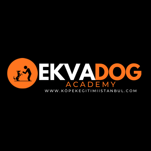 EKVADOG Academy Köpek Eğitim 