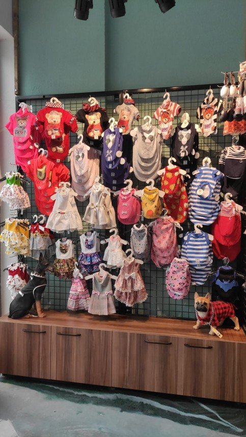 Kabarcık Patiler Pet Kuaförü 