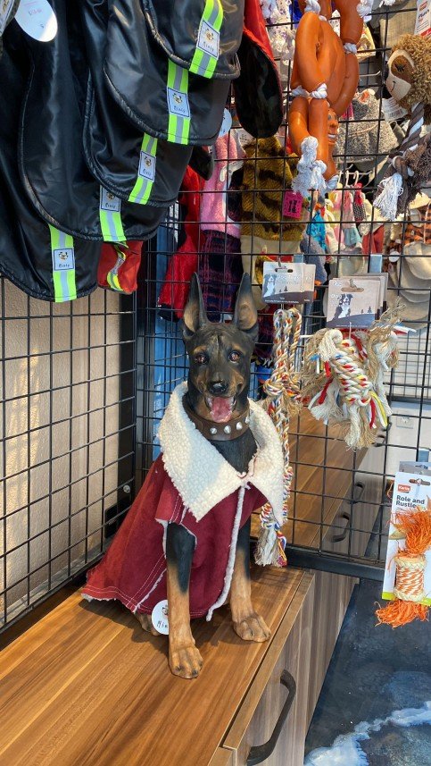 Kabarcık Patiler Pet Kuaförü 