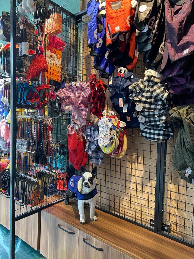 Kabarcık Patiler Pet Kuaförü 