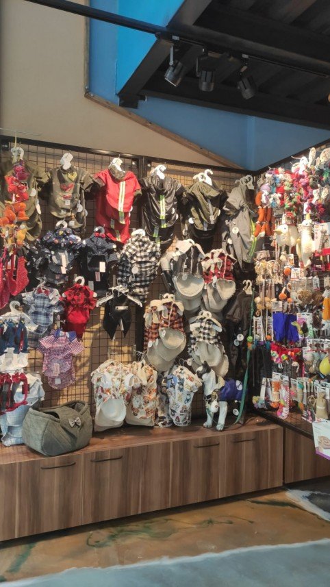 Kabarcık Patiler Pet Kuaförü 