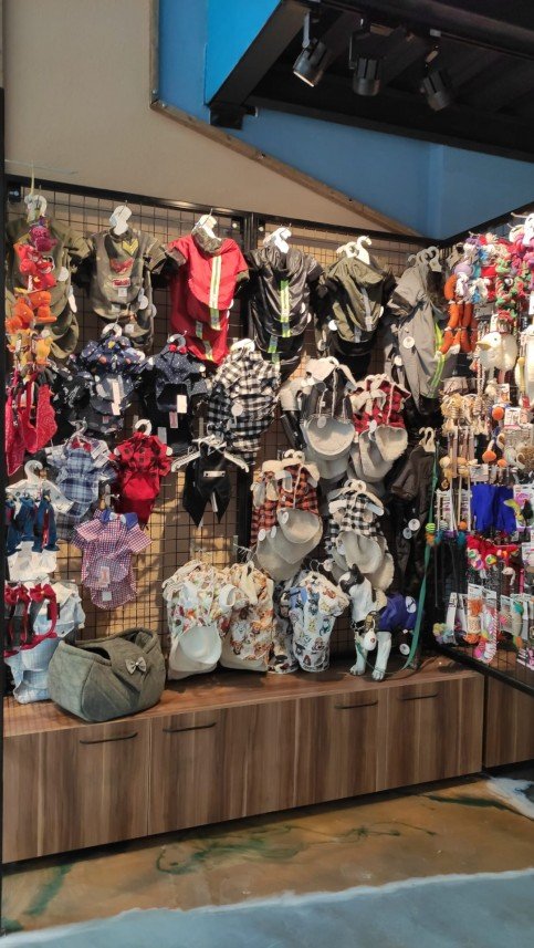 Kabarcık Patiler Pet Kuaförü 