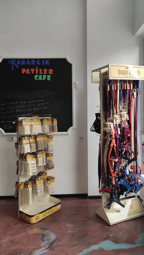 Kabarcık Patiler Pet Kuaförü 