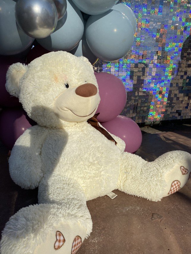 Karnaval Konsept Organizasyon 