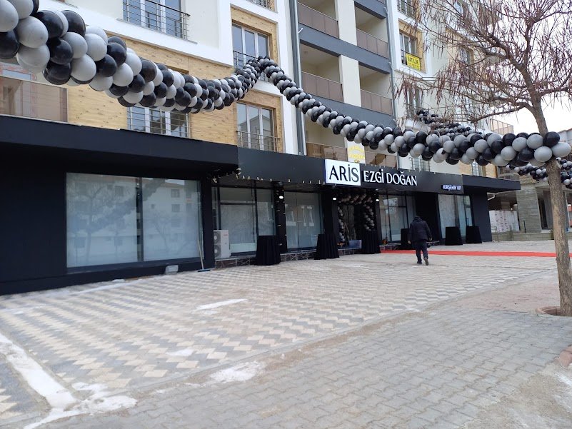 Karnaval Organizasyon 