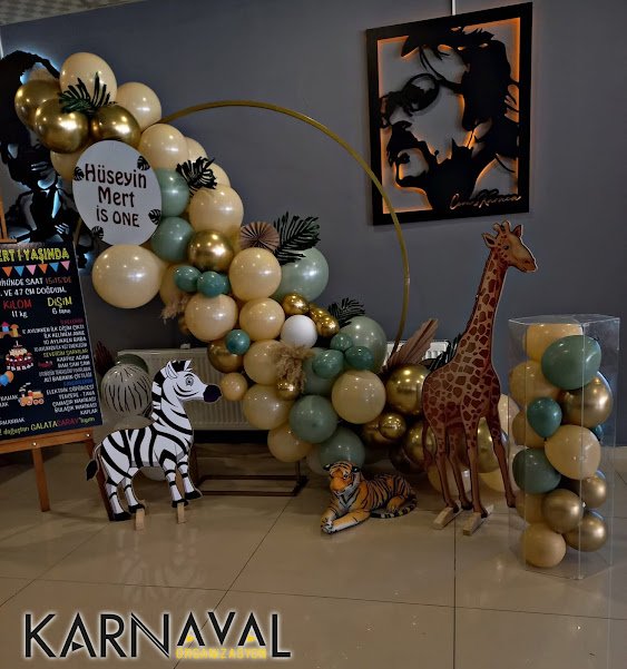 Karnaval Organizasyon 