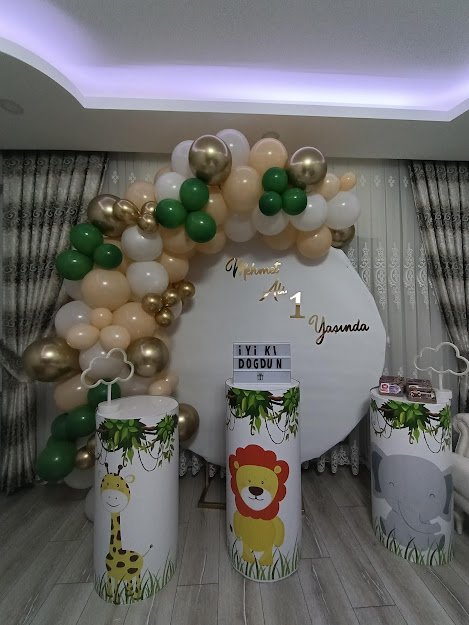 Karnaval Organizasyon 