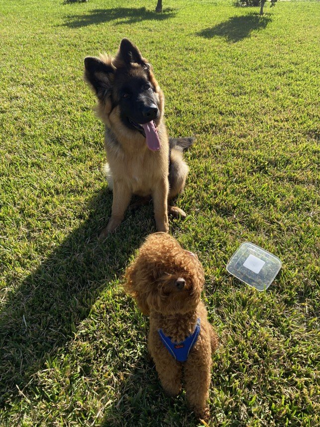 Kartal Samet Pişirgen