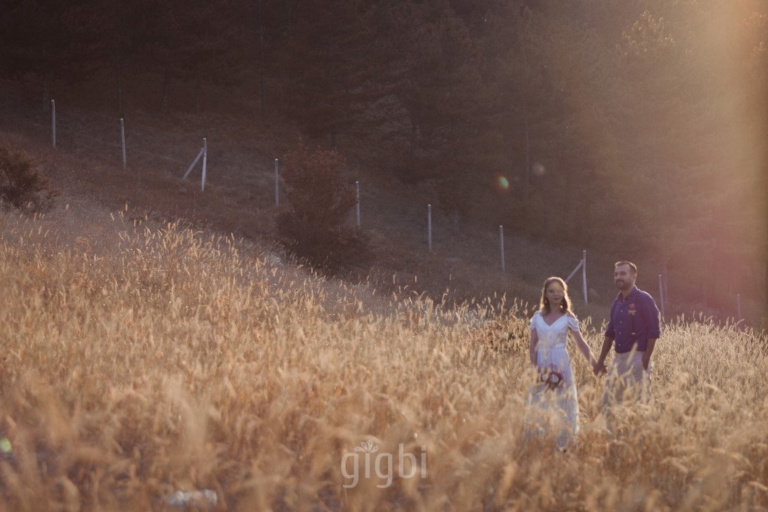 Kaveh Vahed Photography