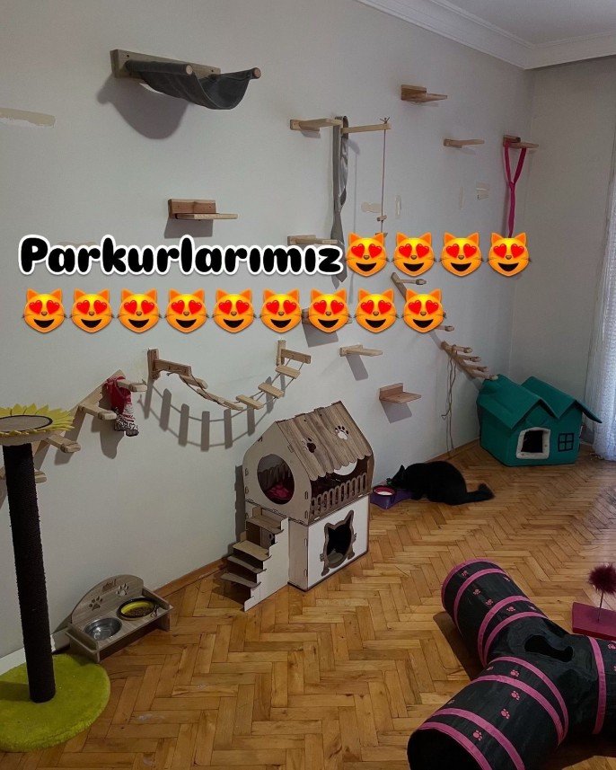 Kedi Pansiyon 35
