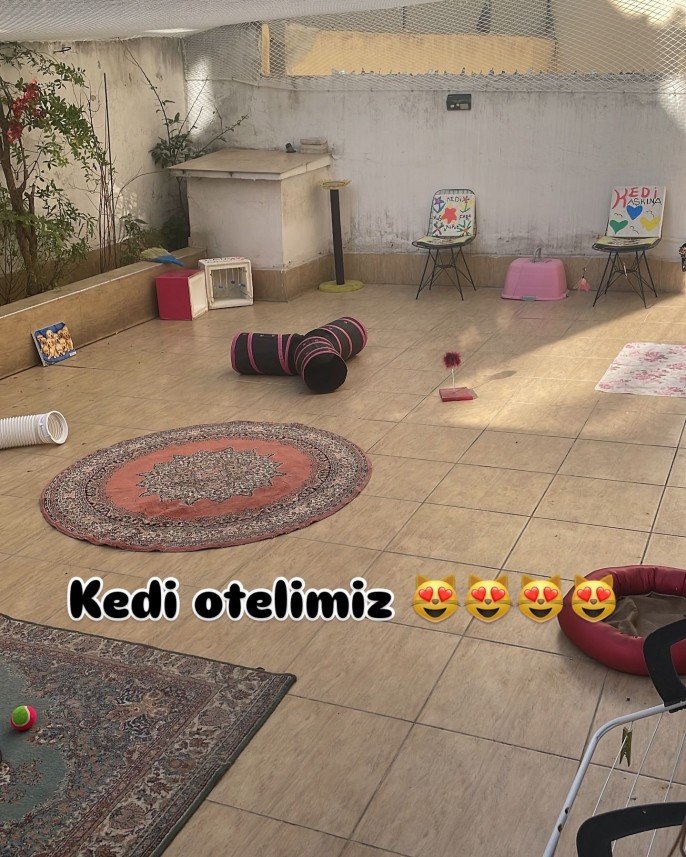 Kedi Pansiyon 35