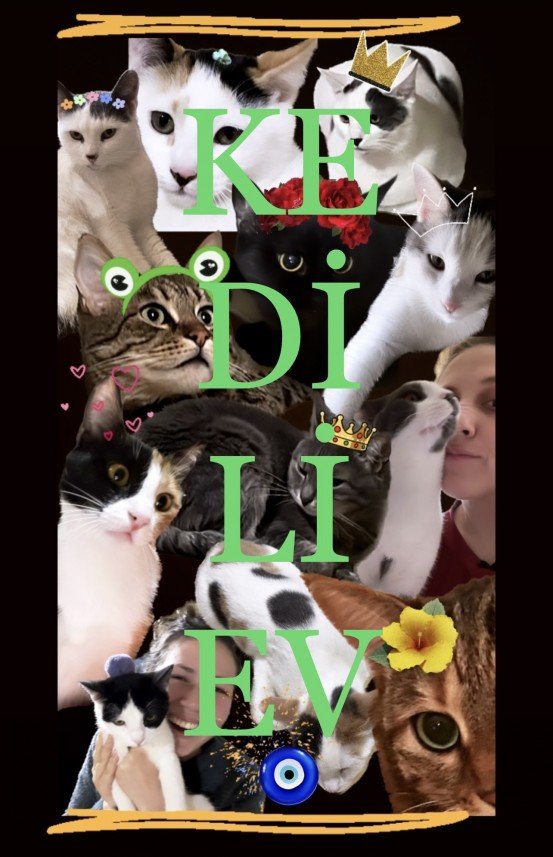 KEDİLİ EV