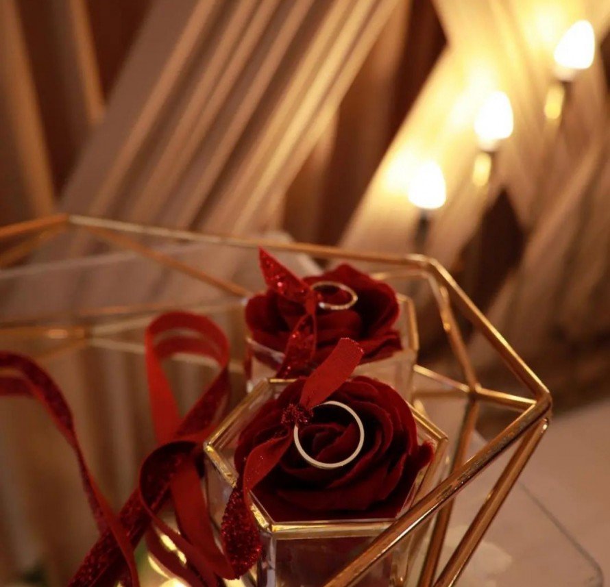 Ashina Organizasyon & Events