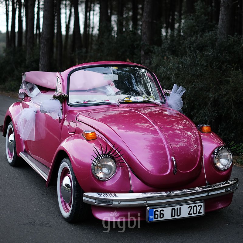 Kiralık Pembe Vosvos Dudu