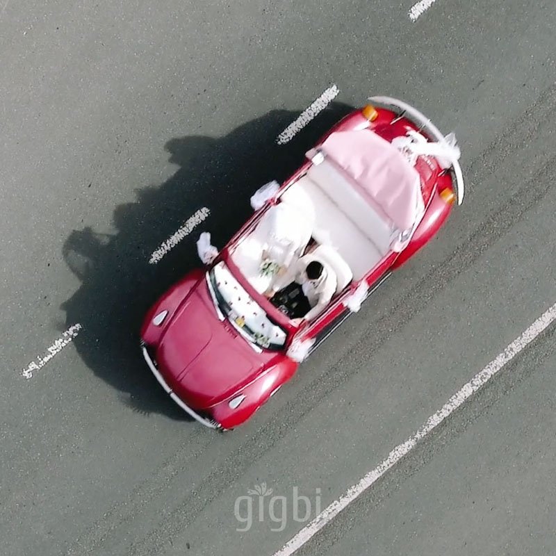 Kiralık Pembe Vosvos Dudu