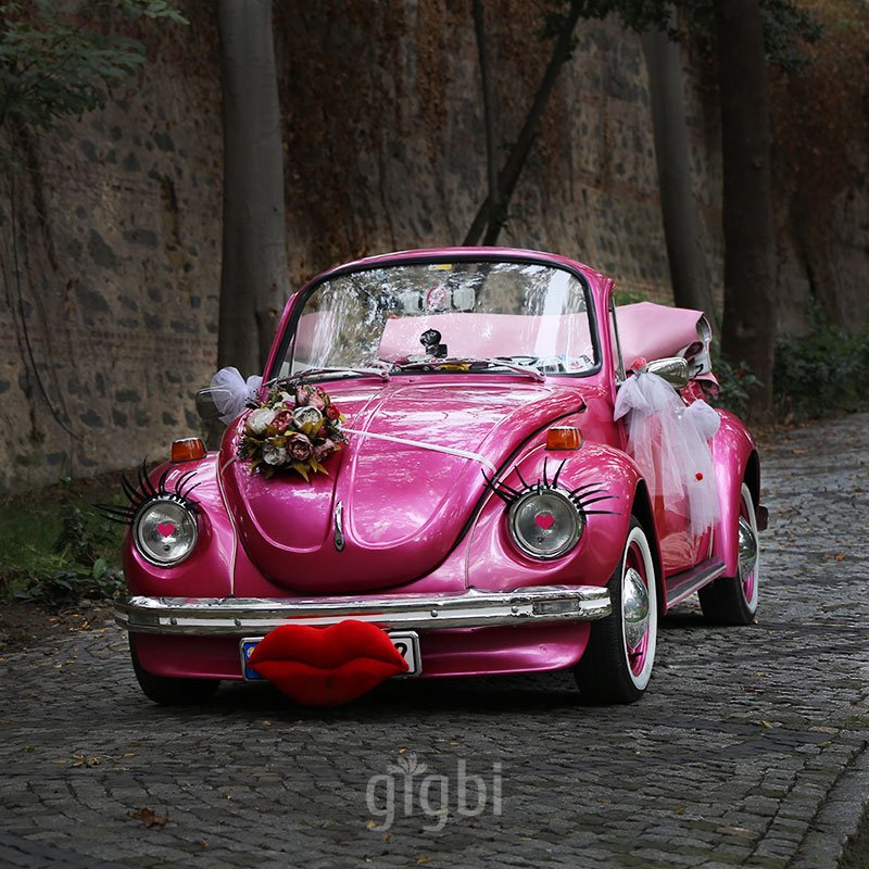 Kiralık Pembe Vosvos Dudu