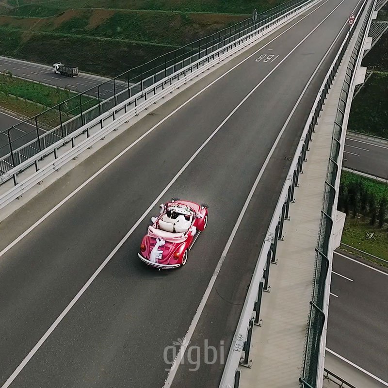 Kiralık Pembe Vosvos Dudu