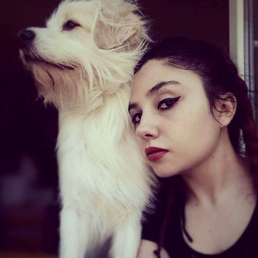 Kırpık Pet Pansiyon