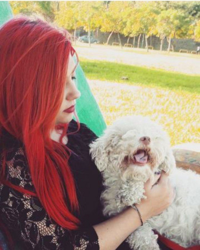 Kırpık Pet Pansiyon