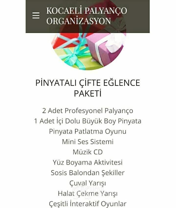 Kocaeli Palyaço Organizasyon