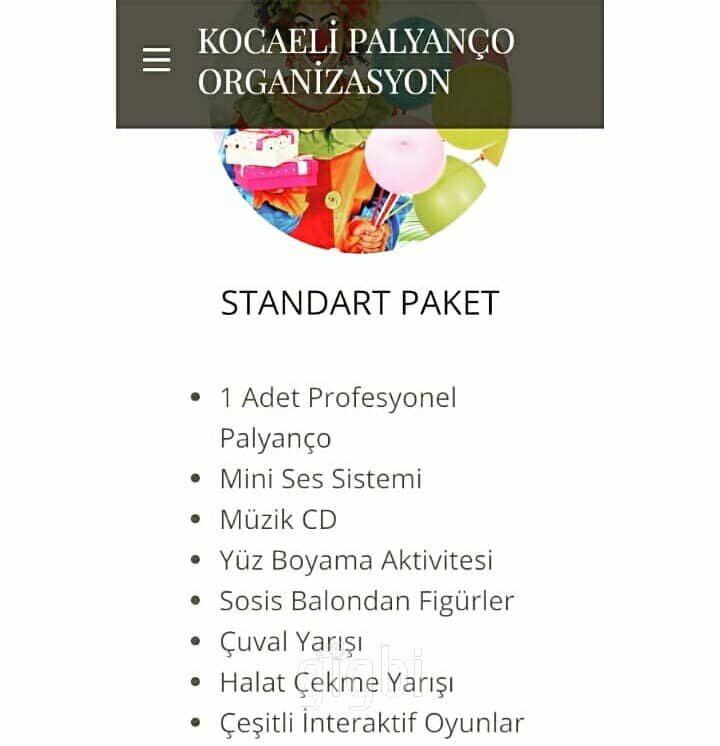 Kocaeli Palyaço Organizasyon