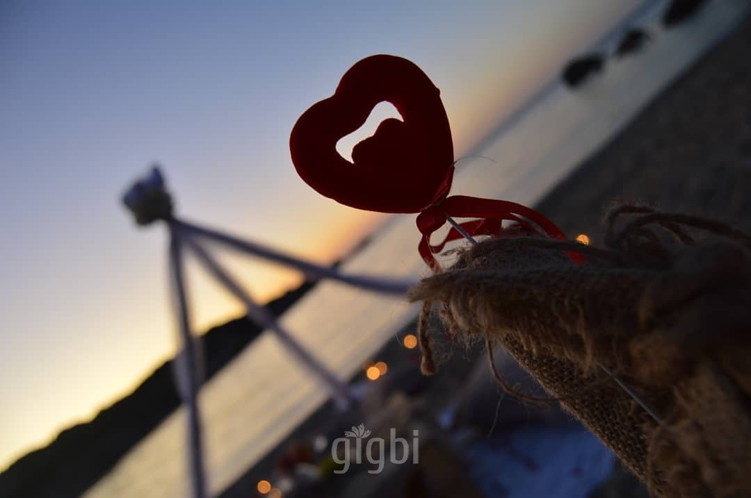 Konsept Organizasyon