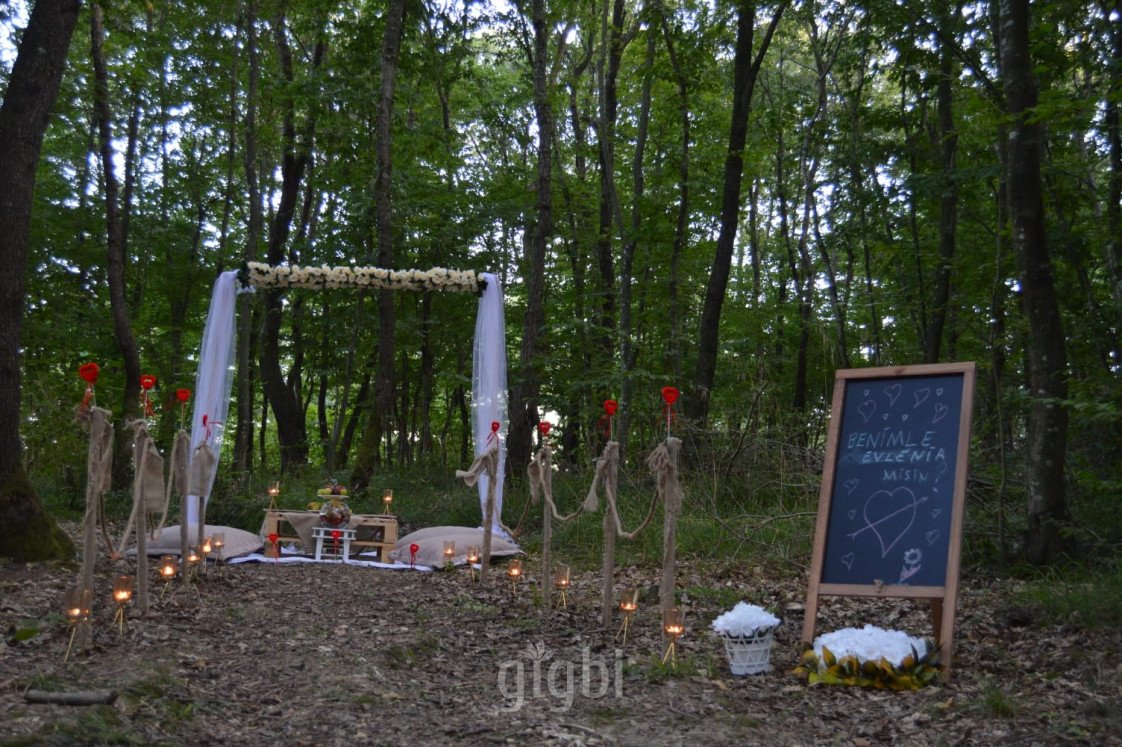 Konsept Organizasyon