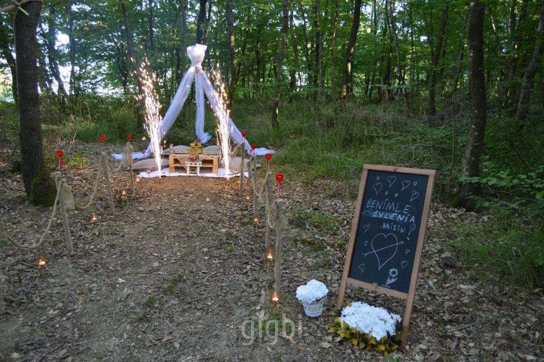 Konsept Organizasyon