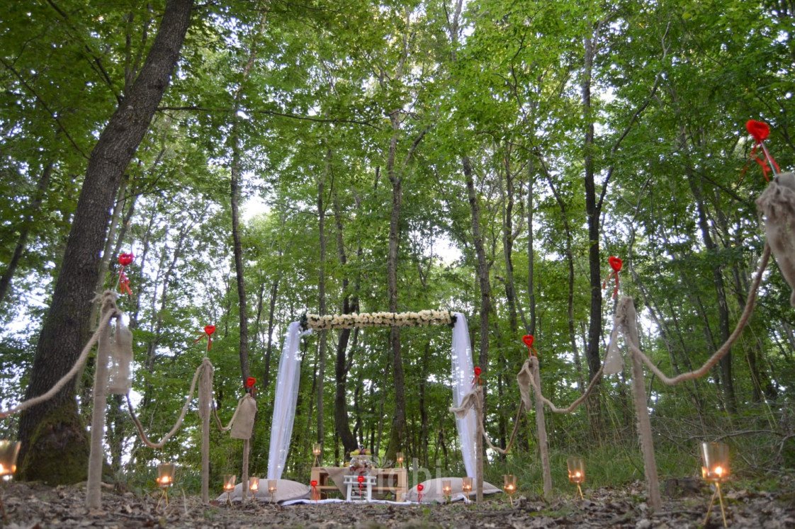 Konsept Organizasyon