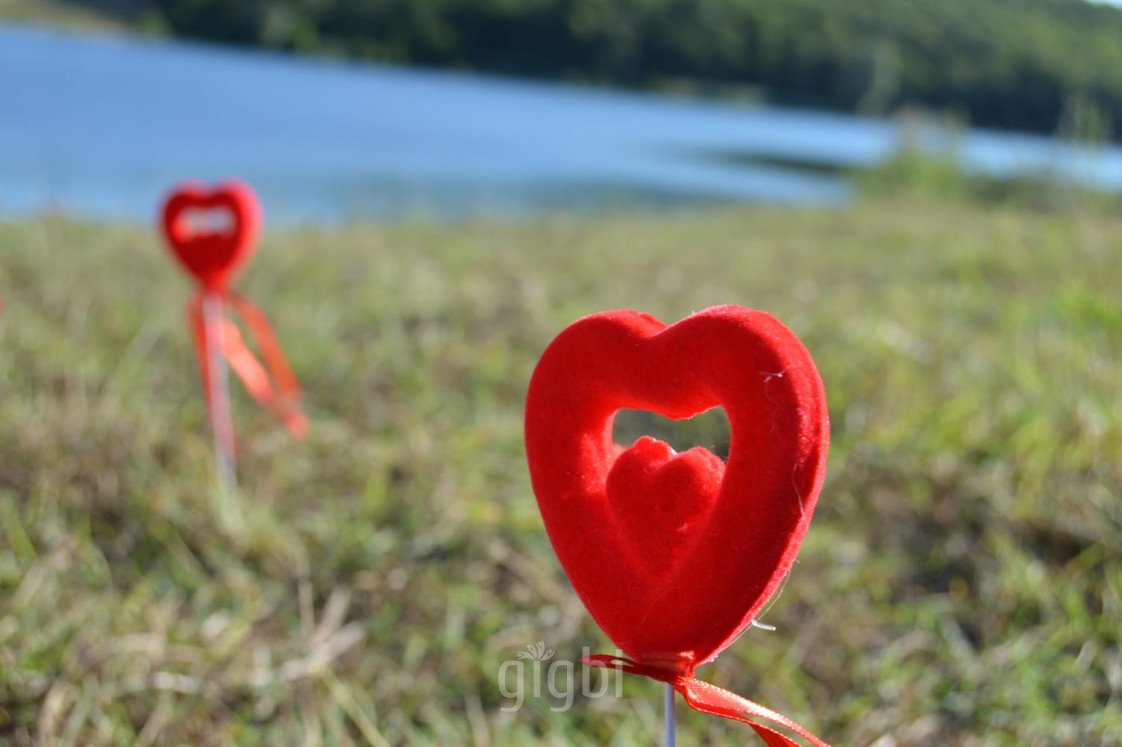 Konsept Organizasyon