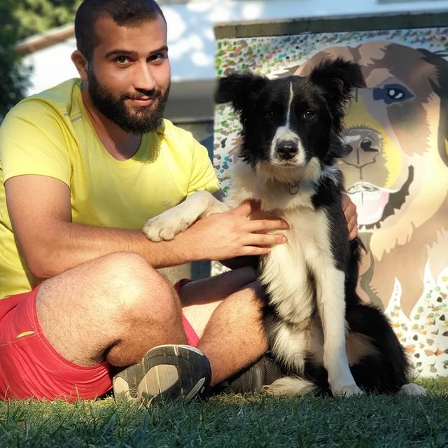 Köpek Eğitmeni Murat Güngör