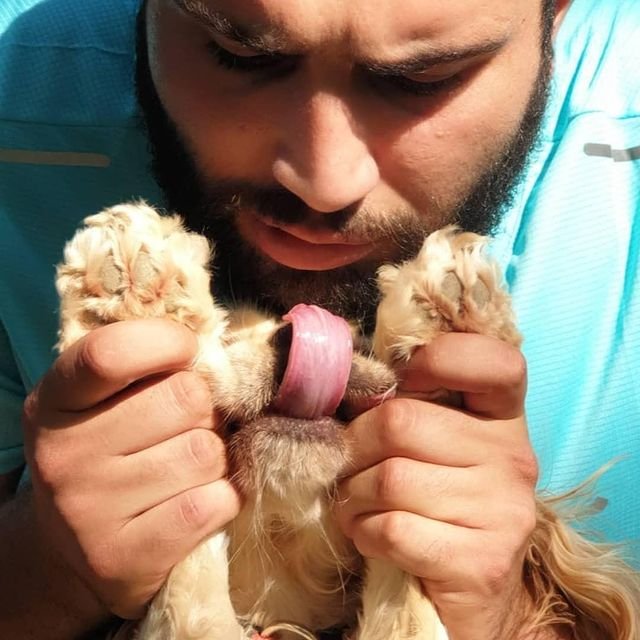 Köpek Eğitmeni Murat Güngör
