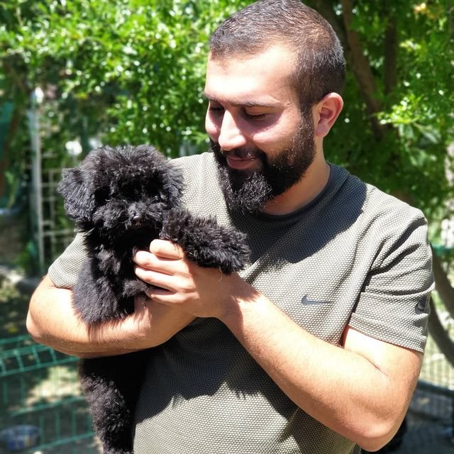 Köpek Eğitmeni Murat Güngör